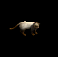 Pet lvl 15 - Siaming Cat