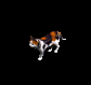 Pet lvl 15 - Wealthy Cat