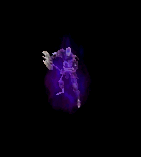 Pet lvl 15 - KEEPER 2