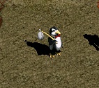 Pet Penguin LVL 15